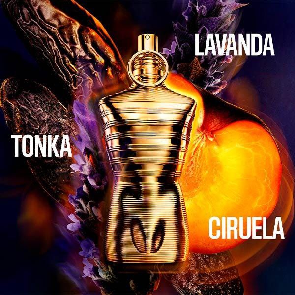 Le Male Elixir Absolu